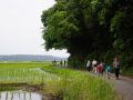 東葉健康ウォーク～歩いて楽しむ 里山からユーカリが丘への道～（14.1km）