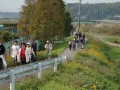 やちよ菜の花ウォーク（10km）