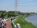 東葉健康ウォーク～ふるさとを探して～（13.7km）